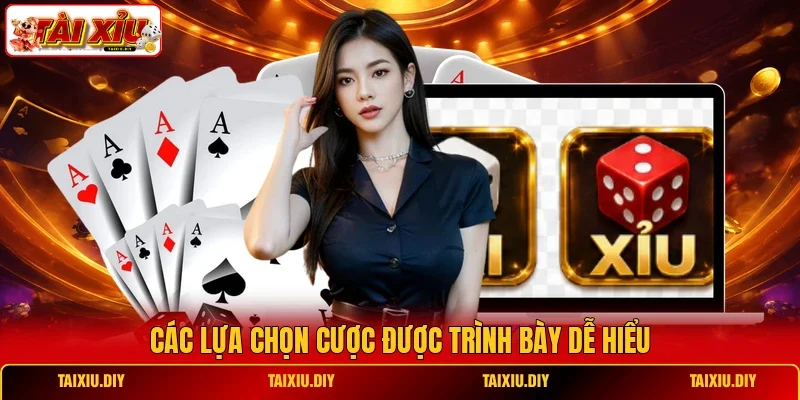 Các lựa chọn cược được trình bày dễ hiểu