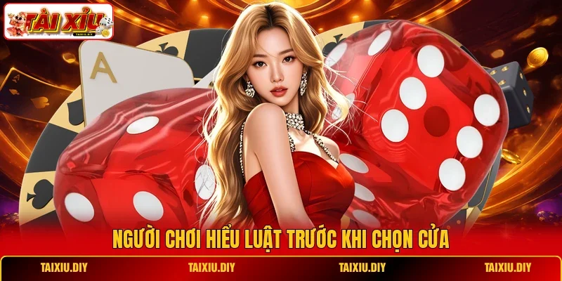 Người chơi hiểu luật trước khi chọn cửa
