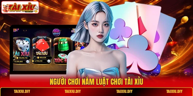 Người chơi nắm luật chơi Tài Xỉu