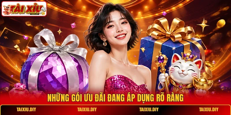 Những gói ưu đãi đang áp dụng rõ ràng