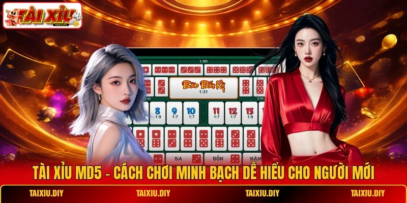 Tài Xỉu md5 - Cách Chơi Minh Bạch Dễ Hiểu Cho Người Mới